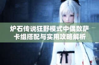 炉石传说狂野模式中偶数萨卡组搭配与实用攻略解析