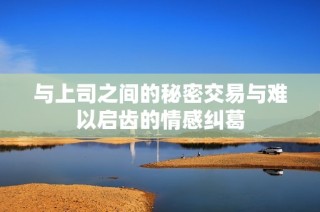 与上司之间的秘密交易与难以启齿的情感纠葛