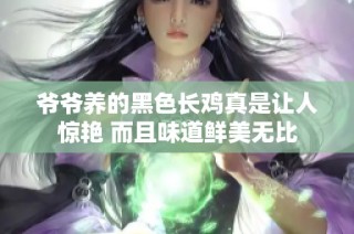 爷爷养的黑色长鸡真是让人惊艳 而且味道鲜美无比