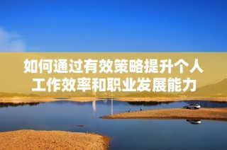 如何通过有效策略提升个人工作效率和职业发展能力