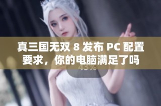 真三国无双 8 发布 PC 配置要求，你的电脑满足了吗