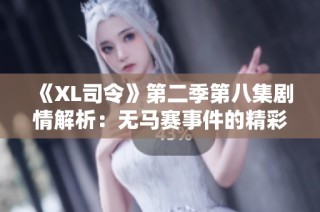《XL司令》第二季第八集剧情解析：无马赛事件的精彩发展与角色命运探讨