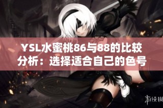 YSL水蜜桃86与88的比较分析：选择适合自己的色号技巧详解