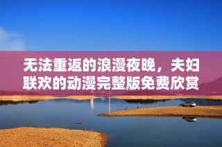 无法重返的浪漫夜晚，夫妇联欢的动漫完整版免费欣赏