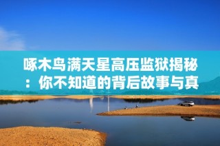 啄木鸟满天星高压监狱揭秘：你不知道的背后故事与真相