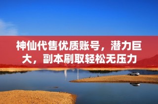 神仙代售优质账号，潜力巨大，副本刷取轻松无压力