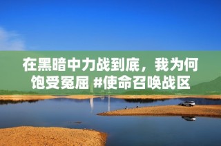 在黑暗中力战到底，我为何饱受冤屈 #使命召唤战区