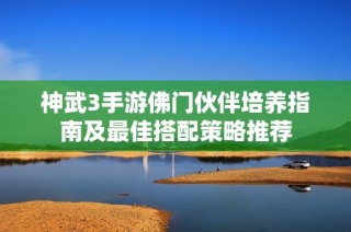 神武3手游佛门伙伴培养指南及最佳搭配策略推荐
