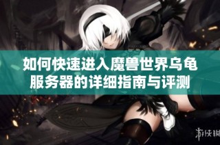 如何快速进入魔兽世界乌龟服务器的详细指南与评测