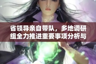 省领导亲自带队，多地调研组全力推进重要事项分析与落实