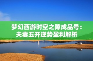 梦幻西游时空之隙成品号：夫妻五开逆势盈利解析