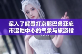 深入了解哥打京那巴鲁亚庇市湿地中心的气象与旅游指数分析