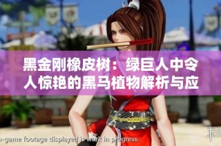 黑金刚橡皮树：绿巨人中令人惊艳的黑马植物解析与应用