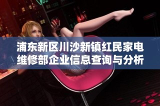 浦东新区川沙新镇红民家电维修部企业信息查询与分析