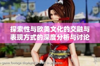 探索性与欧美文化的交融与表现方式的深度分析与讨论