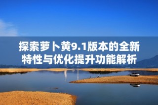 探索萝卜黄9.1版本的全新特性与优化提升功能解析