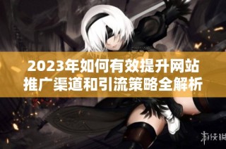2023年如何有效提升网站推广渠道和引流策略全解析