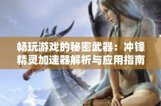 畅玩游戏的秘密武器：冲锋精灵加速器解析与应用指南