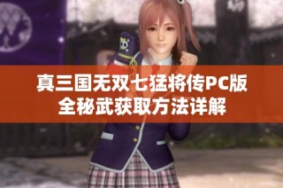 真三国无双七猛将传PC版全秘武获取方法详解