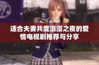 适合夫妻共度浪漫之夜的爱情电视剧推荐与分享