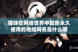 猫咪在网络世界中最新永久使用的地域网名是什么呢