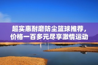 超实惠耐磨防尘篮球推荐，价格一百多元尽享激情运动乐趣