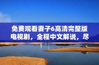 免费观看妻子6高清完整版电视剧，全程中文解说，尽享精彩剧情