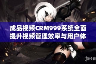 成品视频CRM999系统全面提升视频管理效率与用户体验