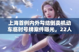上海首例内外勾结倒卖机动车临时号牌案件曝光，22人被抓获