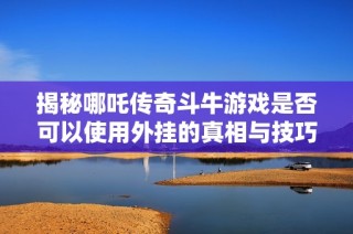 揭秘哪吒传奇斗牛游戏是否可以使用外挂的真相与技巧解析