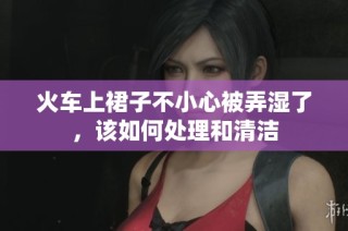 火车上裙子不小心被弄湿了，该如何处理和清洁