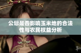 公愆是否影响玉米地的合法性与农民权益分析
