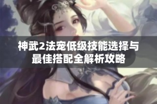 神武2法宠低级技能选择与最佳搭配全解析攻略
