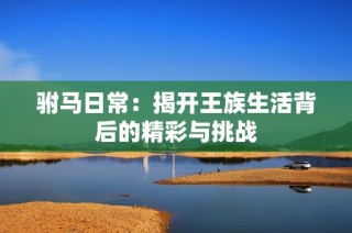 驸马日常：揭开王族生活背后的精彩与挑战
