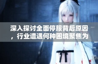 深入探讨全面停服背后原因，行业遭遇何种困境聚焦为何集体暂停运营现象分析