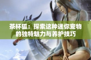 茶杯狐：探索这种迷你宠物的独特魅力与养护技巧