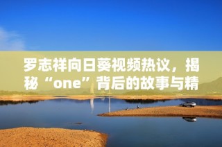 罗志祥向日葵视频热议，揭秘“one”背后的故事与精彩瞬间