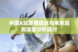 中国X站发展现状与未来趋势深度分析探讨