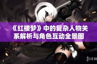 《红楼梦》中的复杂人物关系解析与角色互动全景图