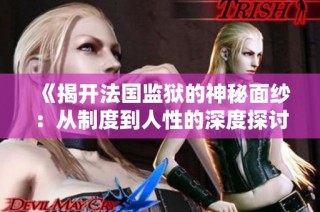 《揭开法国监狱的神秘面纱：从制度到人性的深度探讨》