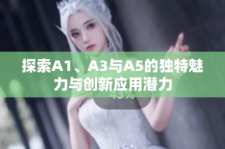探索A1、A3与A5的独特魅力与创新应用潜力