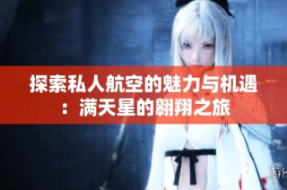 探索私人航空的魅力与机遇：满天星的翱翔之旅