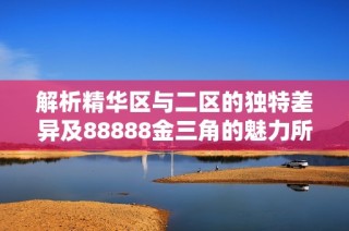解析精华区与二区的独特差异及88888金三角的魅力所在