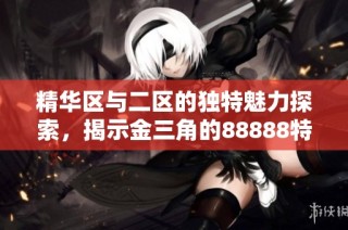 精华区与二区的独特魅力探索，揭示金三角的88888特色优势