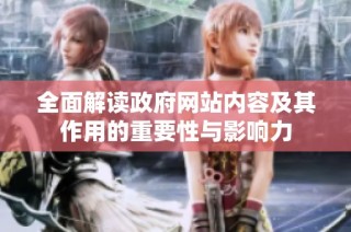 全面解读政府网站内容及其作用的重要性与影响力