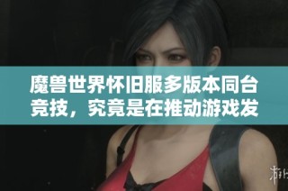 魔兽世界怀旧服多版本同台竞技，究竟是在推动游戏发展还是陷入分裂困境
