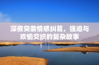 深夜突袭情感纠葛，强迫与欢愉交织的复杂故事