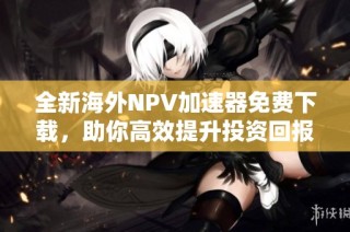 全新海外NPV加速器免费下载，助你高效提升投资回报
