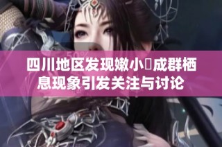四川地区发现嫩小槡成群栖息现象引发关注与讨论