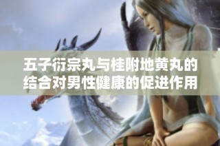 五子衍宗丸与桂附地黄丸的结合对男性健康的促进作用探讨